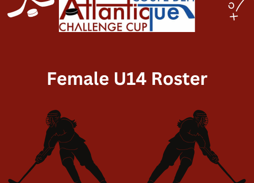 Wishing Our Female U14 Team the Best of Luck!