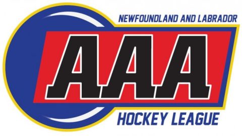 U13/U15 AAA Hockey League Now Accepting Applications for League Administrator