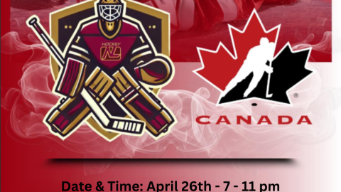 Hockey NL Goaltending 2