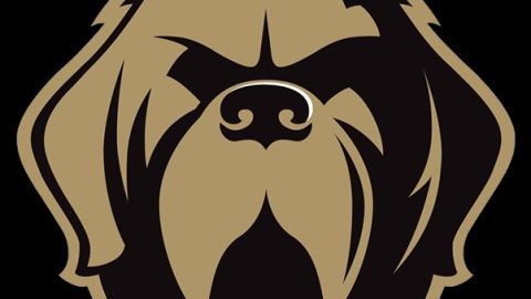 O’Neill Nissan U18 AAA Growlers Hockey Club Named Host of 2027 U18 Atlantic Championship