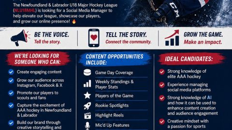 NLU18MHL Seeking Qualified Individuals for Social Media Manager